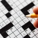 sector nyt crossword