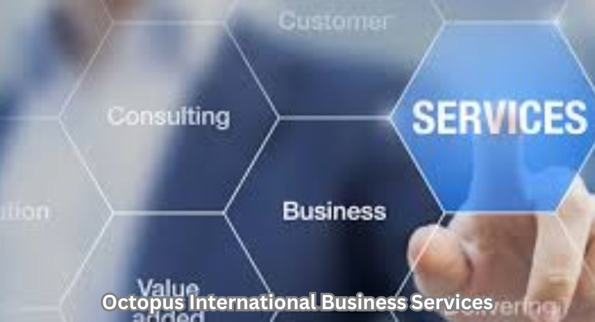 Octopus International Business Services