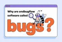 why are endbugflow software called bugs