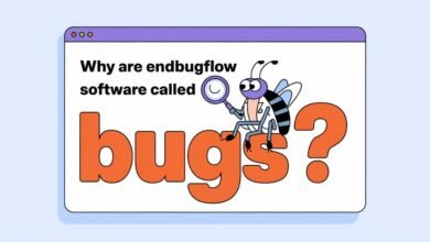 why are endbugflow software called bugs