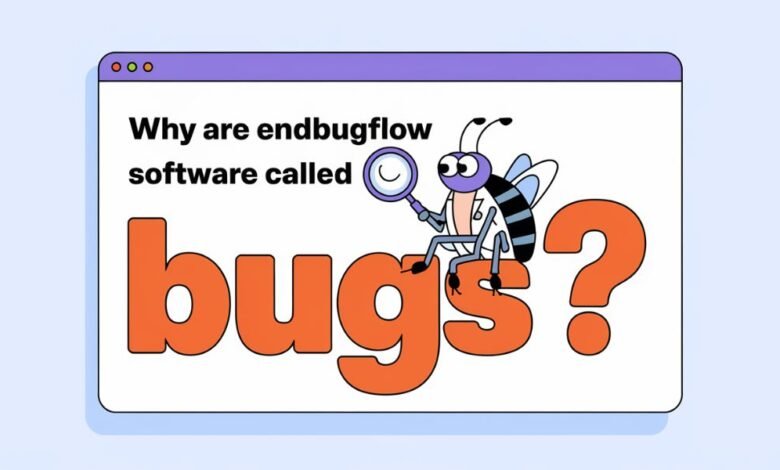 why are endbugflow software called bugs